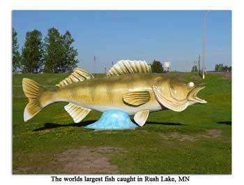 Fishlarge