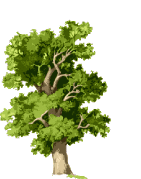 Oaktree