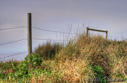 Barbed wire 