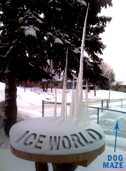 Ice World